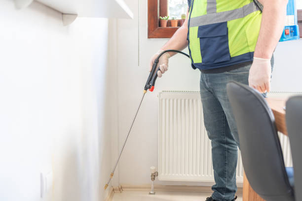 Best Local Pest Control Services  in Denver, CO
