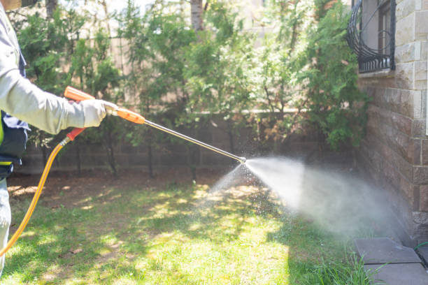 Trusted Denver, CO Pest Control Experts