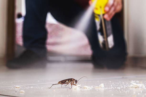 Best Commercial Pest Control Services  in Denver, CO