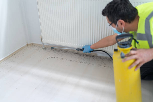 Best Best Pest Control Companies  in Denver, CO